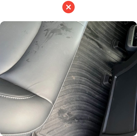 Interior.jpg